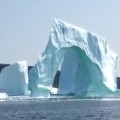 Panicky Woman Films Collapse of An Iceberg