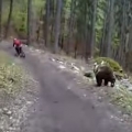 Bear on the Bikepark