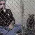 Vet sits in cage with scared Dog