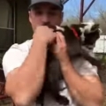 Baby goats line up to get hugs from man
