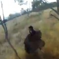  Mountain Biker's Encounter With Emu
