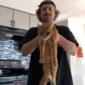 Cat stretches to incredible length