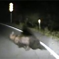 Cop Hits Black Bear 