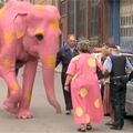 Thumb for Just for laughs: pink elephant prank