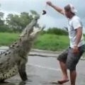 How Not To Feed a Crocodile 