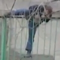 Drunk guy versus the fence