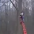 When Cutting A Tree Limb Goes Wrong