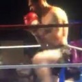 Fighter's Epic Spinning Kick Knockout
