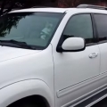 Impatient Dog Blasts The Car Horn