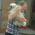 Stolen Pug Reunites With Owner