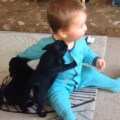 Baby Is Adorably Smothered By Puppies