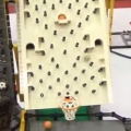 Great Ball Contraption Will Mesmerize You