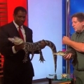 Thumb for Gator Freaks Out Reporter TV News Blooper