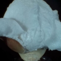 Thumb for Popping Popcorn At 30,000 Frames Per Second
