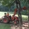 Man tries to fell tree with tractor. Tree wins.
