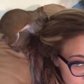 Squirrel Buries Cheeto in Girl’s Hair