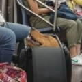 Thumb for Golden Retriever Pokes Head Out From Train Luggage