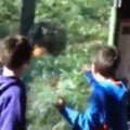 Angry Gorilla Surprises Kids at the Zoo