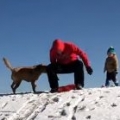 Thumb for When The Dog Wants A Turn On The Sled