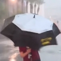 Reporter's Puny Umbrella is No Match for a Monsoon