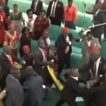 Massive brawl breaks out in Ugandan parliament 