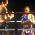 Fighter's Epic Spinning Kick Knockout