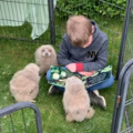 Boy Becomes Friends with Baby Owls
