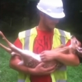 Rescue deer just wants to be held