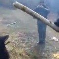 Dog Fetches Biggest Stick Ever