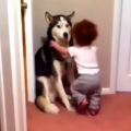 Baby scared of vacuum, runs to dog for help