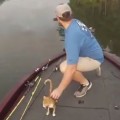 Catching Cats While Catfishing