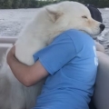Possibly the greatest hug of all time