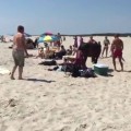  Lifeguard Gets His Ass Kicked By a Horse On The Beach