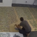 33,600 piece jigsaw puzzle time lapse