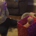 Thumb for Wife’s reaction to puppy gift surprise