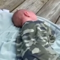Deer comes running when human baby cries