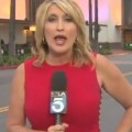  Videobomber Scares The Crap Out Of Reporter