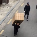 Unexpected way to deliver a fridge