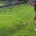 Popping a lawn bubble