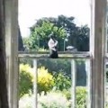  The Manly Way To Deal With A Pigeon Intruder