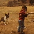 Just a boy and his dog playing baseball