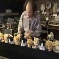 Guy Plays A Cat Organ 