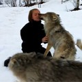 Lady Reunites with wolves