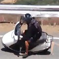 Honda Elite Scooter Crashes  